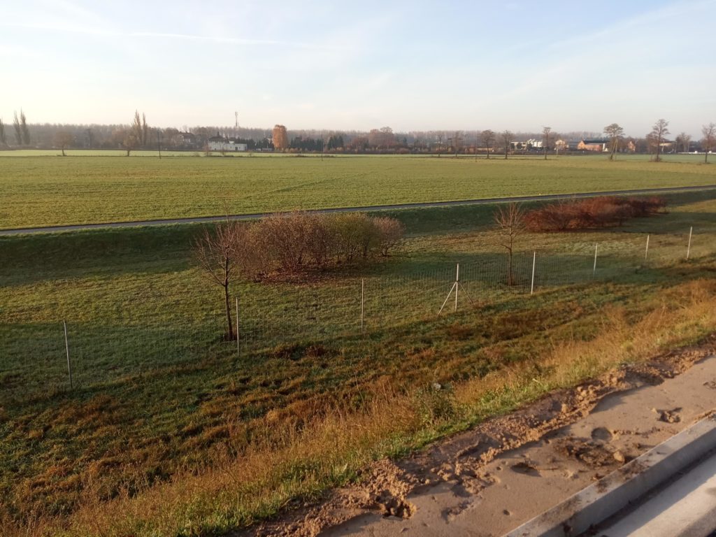 pomiary-geodezyjne-poznań